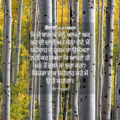Picture 04 - ਗਿਣਤੀ 24:13 PANIRV - ਕਿ ਜੇ ਬਾਲਾਕ ਮੈਨੂੰ - Bible Verse Picture