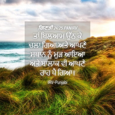 Picture 04 - ਗਿਣਤੀ 24:25 PANIRV - ਤਾਂ ਬਿਲਆਮ ਉੱਠ ਕੇ - Bible Verse Picture