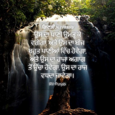 Picture 04 - ਗਿਣਤੀ 24:7 PANIRV - ਉਸ ਦਾ ਪਾਣੀ ਉਮੜ੍ਹ ਕੇ - Bible Verse Picture
