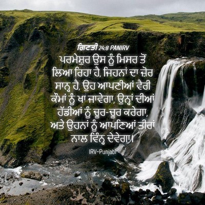 Picture 04 - ਗਿਣਤੀ 24:8 PANIRV - ਪਰਮੇਸ਼ੁਰ ਉਸ ਨੂੰ - Bible Verse Picture