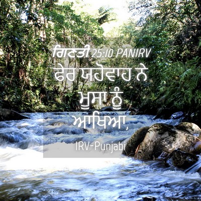 Picture 04 - ਗਿਣਤੀ 25:10 PANIRV - ਫੇਰ ਯਹੋਵਾਹ ਨੇ ਮੂਸਾ - Bible Verse Picture