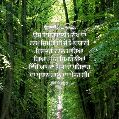 Picture 04 - ਗਿਣਤੀ 25:14 PANIRV - ਉਸ ਇਸਰਾਏਲੀ ਮਨੁੱਖ - Bible Verse Picture