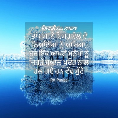 Picture 04 - ਗਿਣਤੀ 25:5 PANIRV - ਤਾਂ ਮੂਸਾ ਨੇ ਇਸਰਾਏਲ - Bible Verse Picture