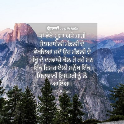 Picture 04 - ਗਿਣਤੀ 25:6 PANIRV - ਤਾਂ ਵੇਖੋ, ਮੂਸਾ ਅਤੇ - Bible Verse Picture
