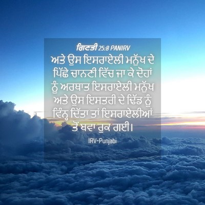 Picture 04 - ਗਿਣਤੀ 25:8 PANIRV - ਅਤੇ ਉਸ ਇਸਰਾਏਲੀ - Bible Verse Picture