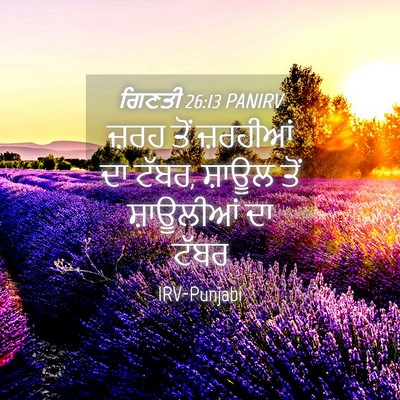 Picture 04 - ਗਿਣਤੀ 26:13 PANIRV - ਜ਼ਰਹ ਤੋਂ ਜ਼ਰਹੀਆਂ - Bible Verse Picture