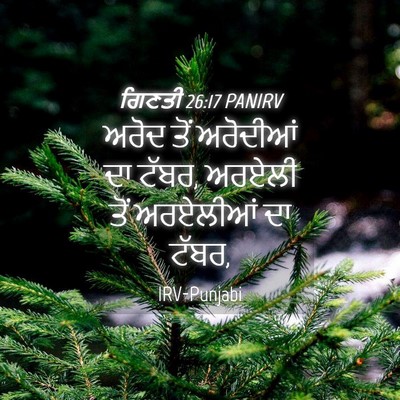 Picture 04 - ਗਿਣਤੀ 26:17 PANIRV - ਅਰੋਦ ਤੋਂ ਅਰੋਦੀਆਂ - Bible Verse Picture