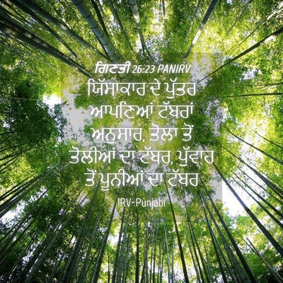 Picture 04 - ਗਿਣਤੀ 26:23 PANIRV - ਯਿੱਸਾਕਾਰ ਦੇ ਪੁੱਤਰ - Bible Verse Picture