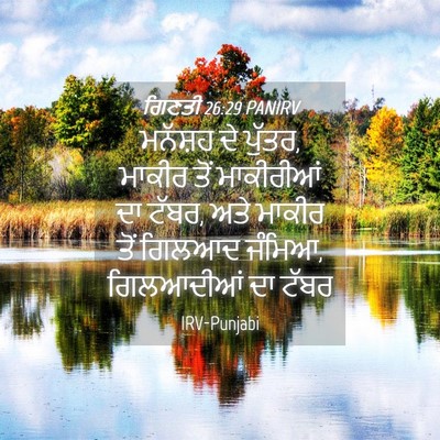 Picture 04 - ਗਿਣਤੀ 26:29 PANIRV - ਮਨੱਸ਼ਹ ਦੇ ਪੁੱਤਰ, - Bible Verse Picture
