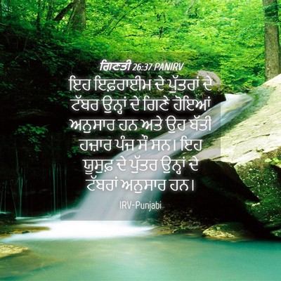 Picture 04 - ਗਿਣਤੀ 26:37 PANIRV - ਇਹ ਇਫ਼ਰਾਈਮ ਦੇ - Bible Verse Picture