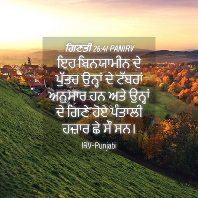 Picture 04 - ਗਿਣਤੀ 26:41 PANIRV - ਇਹ ਬਿਨਯਾਮੀਨ ਦੇ - Bible Verse Picture