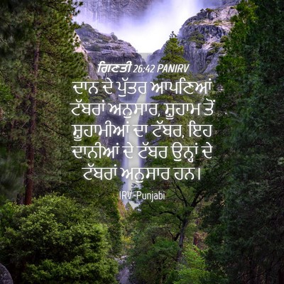 Picture 04 - ਗਿਣਤੀ 26:42 PANIRV - ਦਾਨ ਦੇ ਪੁੱਤਰ - Bible Verse Picture