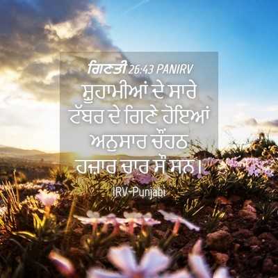 Picture 04 - ਗਿਣਤੀ 26:43 PANIRV - ਸ਼ੂਹਾਮੀਆਂ ਦੇ ਸਾਰੇ - Bible Verse Picture