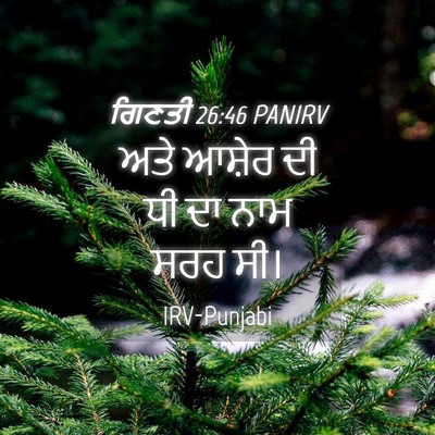 Picture 04 - ਗਿਣਤੀ 26:46 PANIRV - ਅਤੇ ਆਸ਼ੇਰ ਦੀ ਧੀ ਦਾ - Bible Verse Picture