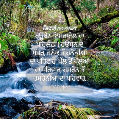 Picture 04 - ਗਿਣਤੀ 26:5 PANIRV - ਰਊਬੇਨ ਇਸਰਾਏਲ ਦਾ - Bible Verse Picture