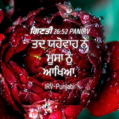 Picture 04 - ਗਿਣਤੀ 26:52 PANIRV - ਤਦ ਯਹੋਵਾਹ ਨੇ ਮੂਸਾ - Bible Verse Picture
