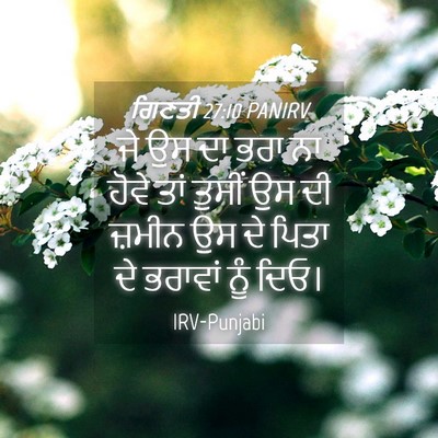Picture 04 - ਗਿਣਤੀ 27:10 PANIRV - ਜੇ ਉਸ ਦਾ ਭਰਾ ਨਾ - Bible Verse Picture