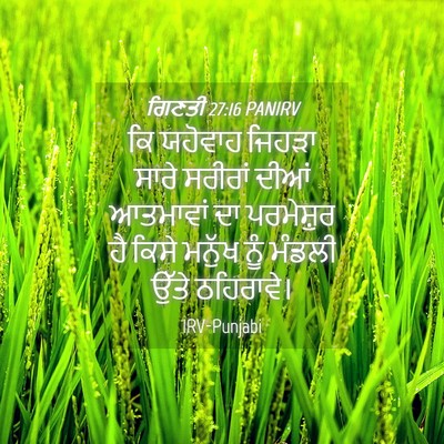 Picture 04 - ਗਿਣਤੀ 27:16 PANIRV - ਕਿ ਯਹੋਵਾਹ ਜਿਹੜਾ - Bible Verse Picture