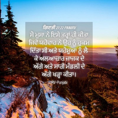 Picture 04 - ਗਿਣਤੀ 27:22 PANIRV - ਸੋ ਮੂਸਾ ਨੇ ਇਸੇ - Bible Verse Picture