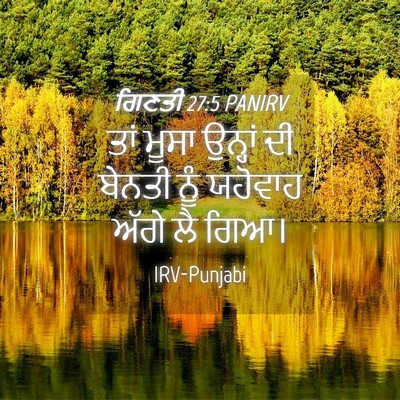 Picture 04 - ਗਿਣਤੀ 27:5 PANIRV - ਤਾਂ ਮੂਸਾ ਉਨ੍ਹਾਂ ਦੀ - Bible Verse Picture