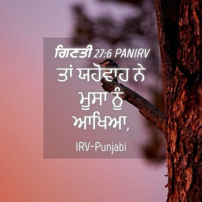 Picture 04 - ਗਿਣਤੀ 27:6 PANIRV - ਤਾਂ ਯਹੋਵਾਹ ਨੇ ਮੂਸਾ - Bible Verse Picture