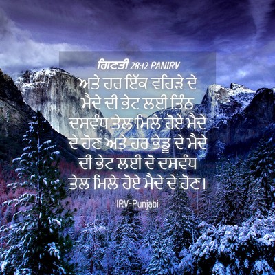 Picture 04 - ਗਿਣਤੀ 28:12 PANIRV - ਅਤੇ ਹਰ ਇੱਕ ਵਹਿੜੇ ਦੇ - Bible Verse Picture