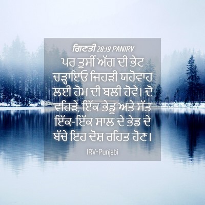 Picture 04 - ਗਿਣਤੀ 28:19 PANIRV - ਪਰ ਤੁਸੀਂ ਅੱਗ ਦੀ ਭੇਟ - Bible Verse Picture