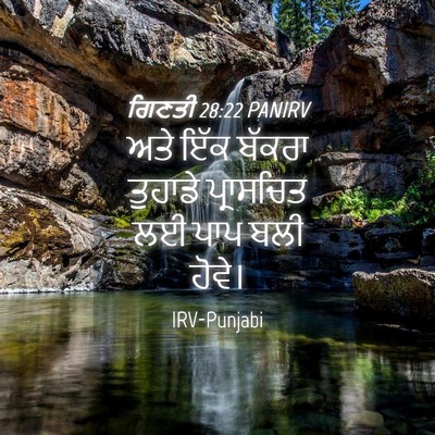 Picture 04 - ਗਿਣਤੀ 28:22 PANIRV - ਅਤੇ ਇੱਕ ਬੱਕਰਾ - Bible Verse Picture