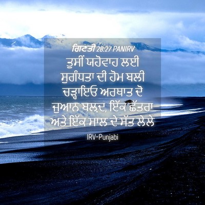 Picture 04 - ਗਿਣਤੀ 28:27 PANIRV - ਤੁਸੀਂ ਯਹੋਵਾਹ ਲਈ - Bible Verse Picture
