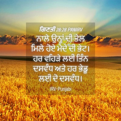 Picture 04 - ਗਿਣਤੀ 28:28 PANIRV - ਨਾਲੇ ਉਨ੍ਹਾਂ ਦੀ ਤੇਲ - Bible Verse Picture