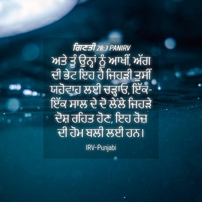 Picture 04 - ਗਿਣਤੀ 28:3 PANIRV - ਅਤੇ ਤੂੰ ਉਨ੍ਹਾਂ ਨੂੰ - Bible Verse Picture