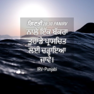 Picture 04 - ਗਿਣਤੀ 28:30 PANIRV - ਨਾਲੇ ਇੱਕ ਬੱਕਰਾ - Bible Verse Picture