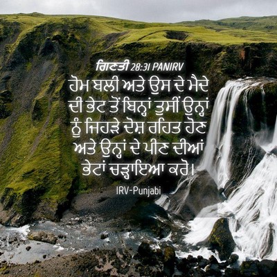 Picture 04 - ਗਿਣਤੀ 28:31 PANIRV - ਹੋਮ ਬਲੀ ਅਤੇ ਉਸ ਦੇ - Bible Verse Picture