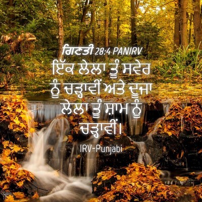 Picture 04 - ਗਿਣਤੀ 28:4 PANIRV - ਇੱਕ ਲੇਲਾ ਤੂੰ ਸਵੇਰ - Bible Verse Picture