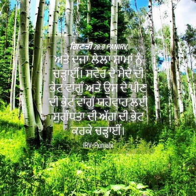Picture 04 - ਗਿਣਤੀ 28:8 PANIRV - ਅਤੇ ਦੂਜਾ ਲੇਲਾ - Bible Verse Picture