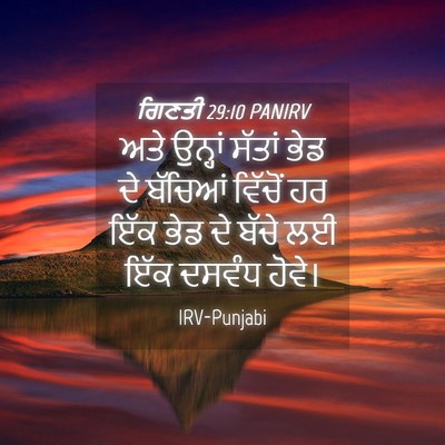 Picture 04 - ਗਿਣਤੀ 29:10 PANIRV - ਅਤੇ ਉਨ੍ਹਾਂ ਸੱਤਾਂ - Bible Verse Picture