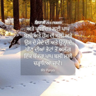 Picture 04 - ਗਿਣਤੀ 29:11 PANIRV - ਅਤੇ ਪ੍ਰਾਸਚਿਤ ਲਈ - Bible Verse Picture