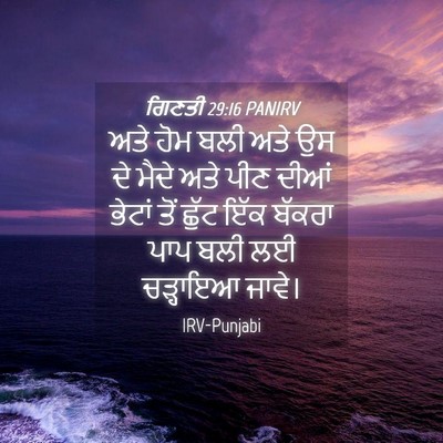 Picture 04 - ਗਿਣਤੀ 29:16 PANIRV - ਅਤੇ ਹੋਮ ਬਲੀ ਅਤੇ ਉਸ - Bible Verse Picture