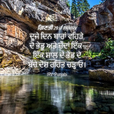 Picture 04 - ਗਿਣਤੀ 29:17 PANIRV - ਦੂਜੇ ਦਿਨ ਬਾਰਾਂ - Bible Verse Picture