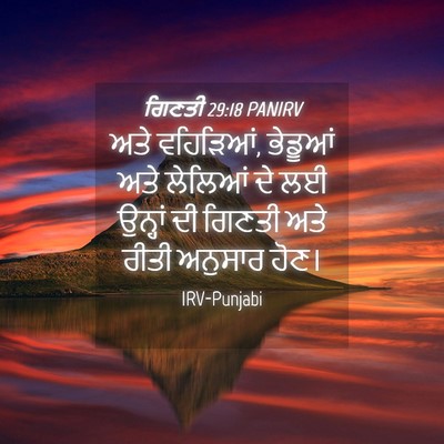 Picture 04 - ਗਿਣਤੀ 29:18 PANIRV - ਅਤੇ ਵਹਿੜਿਆਂ, - Bible Verse Picture