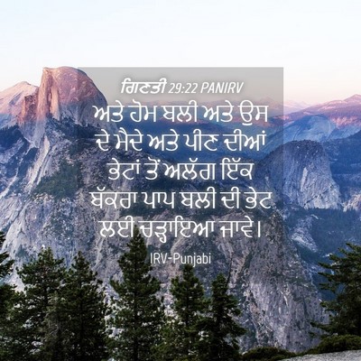 Picture 04 - ਗਿਣਤੀ 29:22 PANIRV - ਅਤੇ ਹੋਮ ਬਲੀ ਅਤੇ ਉਸ - Bible Verse Picture