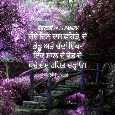 Picture 04 - ਗਿਣਤੀ 29:23 PANIRV - ਚੌਥੇ ਦਿਨ ਦਸ ਵਹਿੜੇ, - Bible Verse Picture