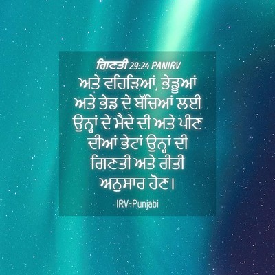 Picture 04 - ਗਿਣਤੀ 29:24 PANIRV - ਅਤੇ ਵਹਿੜਿਆਂ, - Bible Verse Picture