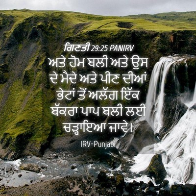 Picture 04 - ਗਿਣਤੀ 29:25 PANIRV - ਅਤੇ ਹੋਮ ਬਲੀ ਅਤੇ ਉਸ - Bible Verse Picture