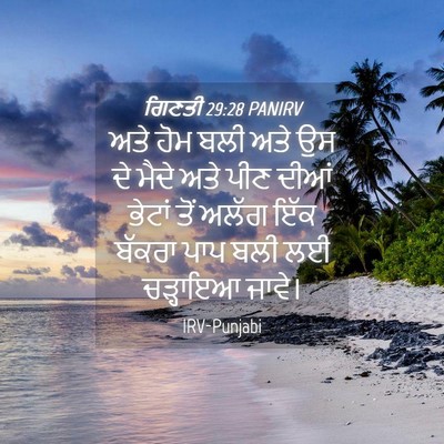 Picture 04 - ਗਿਣਤੀ 29:28 PANIRV - ਅਤੇ ਹੋਮ ਬਲੀ ਅਤੇ ਉਸ - Bible Verse Picture