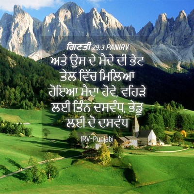 Picture 04 - ਗਿਣਤੀ 29:3 PANIRV - ਅਤੇ ਉਸ ਦੇ ਮੈਦੇ ਦੀ - Bible Verse Picture