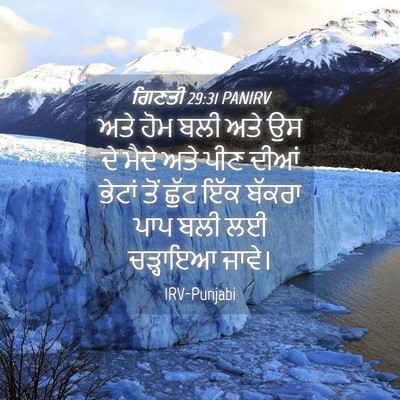 Picture 04 - ਗਿਣਤੀ 29:31 PANIRV - ਅਤੇ ਹੋਮ ਬਲੀ ਅਤੇ ਉਸ - Bible Verse Picture