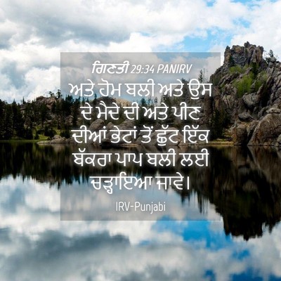 Picture 04 - ਗਿਣਤੀ 29:34 PANIRV - ਅਤੇ ਹੋਮ ਬਲੀ ਅਤੇ ਉਸ - Bible Verse Picture