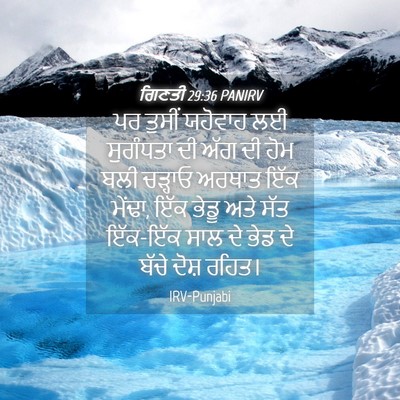 Picture 04 - ਗਿਣਤੀ 29:36 PANIRV - ਪਰ ਤੁਸੀਂ ਯਹੋਵਾਹ ਲਈ - Bible Verse Picture