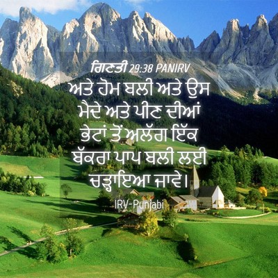 Picture 04 - ਗਿਣਤੀ 29:38 PANIRV - ਅਤੇ ਹੋਮ ਬਲੀ ਅਤੇ ਉਸ - Bible Verse Picture
